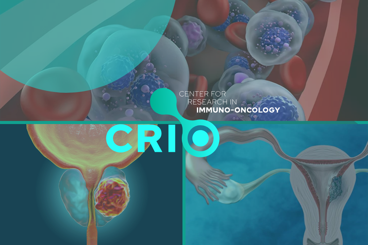 CRIO inicia terceiro ano com expansão de pesquisa e novas frentes de colaboração
