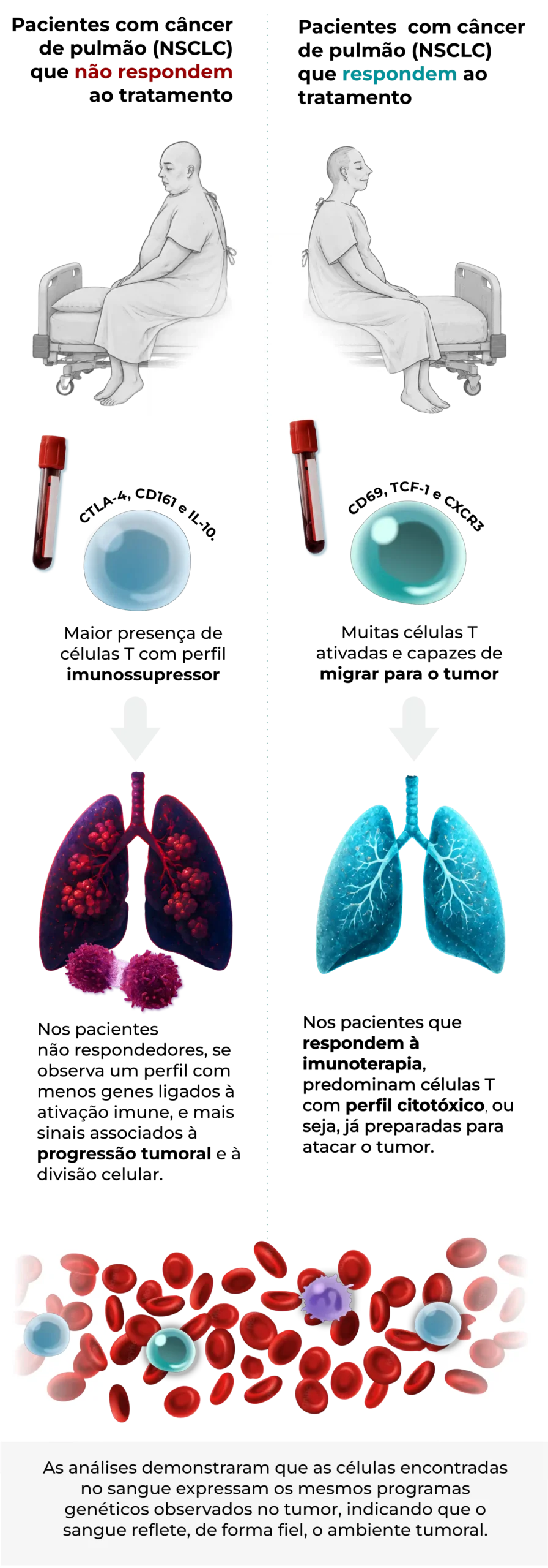 Novo estudo do CRIO (Eisntein) é publicado na iScience (Cell Press)
